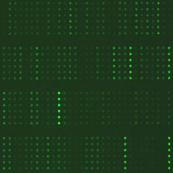 T-Cell Receptor Phospho Antibody Array Assay Service