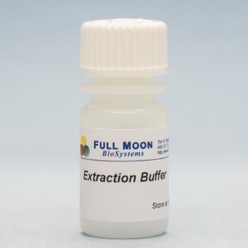 Protein Extraction Buffer