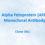 Alpha Fetoprotein (AFP) Monoclonal Antibody, 3A1
