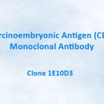 Carcinoembryonic Antigen (CEA) Monoclonal Antibody, 1E10D3