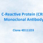 C-Reactive Protein/CRP Monoclonal Antibody, 4D111D3