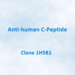 Anti-human C-Peptide Monoclonal Antibody, 1H5B1