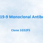 CA 19-9 Monoclonal Antibody, 1G52F5