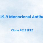 CA 19-9 Monoclonal Antibody, 4E111F12