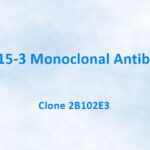 CA 15-3 Monoclonal Antibody, 2B102E3