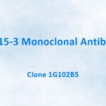 CA 15-3 Monoclonal Antibody, 1G102B5