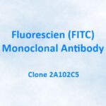 Fluorescien (FITC) Monoclonal Antibody, 2A102C5