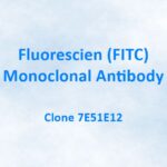 Fluorescien (FITC) Monoclonal Antibody, 7E51E12