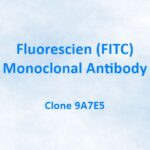 Fluorescien (FITC) Monoclonal Antibody, 9A7E5