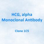 HCG, alpha, Monoclonal Antibody, 1C5