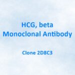 HCG, beta, Monoclonal Antibody, 2D8C3