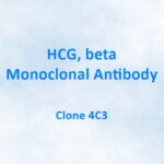 HCG, beta, Monoclonal Antibody, 4C3