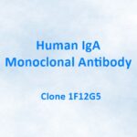 Human IgA Monoclonal Antibody, 1F12G5