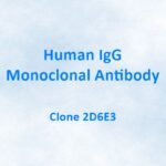 Human IgG Monoclonal Antibody, 2D6E3