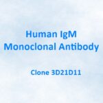 Human IgM Monoclonal Antibody, 3D21D11