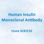 Human Insulin Monoclonal Antibody, 3C81F10