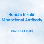 Human Insulin Monoclonal Antibody, 1B111H3