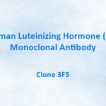 Human Luteinizing Hormone (LH) Monoclonal Antibody, 3F5