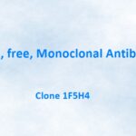PSA, free, Monoclonal Antibody, 1F5H4