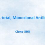 PSA, total, Monoclonal Antibody, 5H5