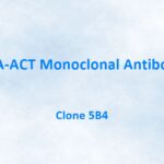 PSA-ACT Monoclonal Antibody, 5B4