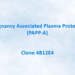 Pregnancy Associated Plasma Protein A (PAPP-A) Monoclonal Antibody, 4B12E4