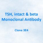 TSH, intact & beta, Monoclonal Antibody, 3E4