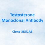 Testosterone Monoclonal Antibody, 3D51A3