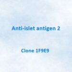 Anti-islet antigen 2 (IA-2) Monoclonal Antibody, 1F9E9