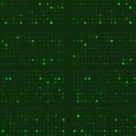 Phospho Explorer Array Image