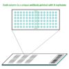 Layout of Pathway Antibody Arrays - Six replicates/Antibody